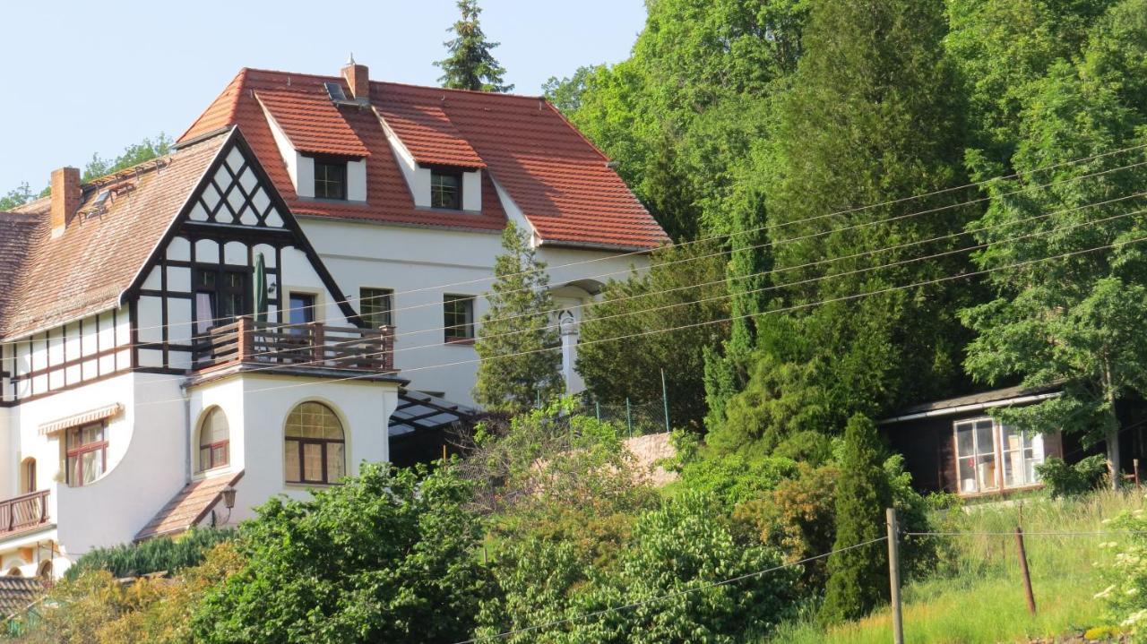 Ferienhaus Elbsommer Am Weinberg II Meißen Dış mekan fotoğraf