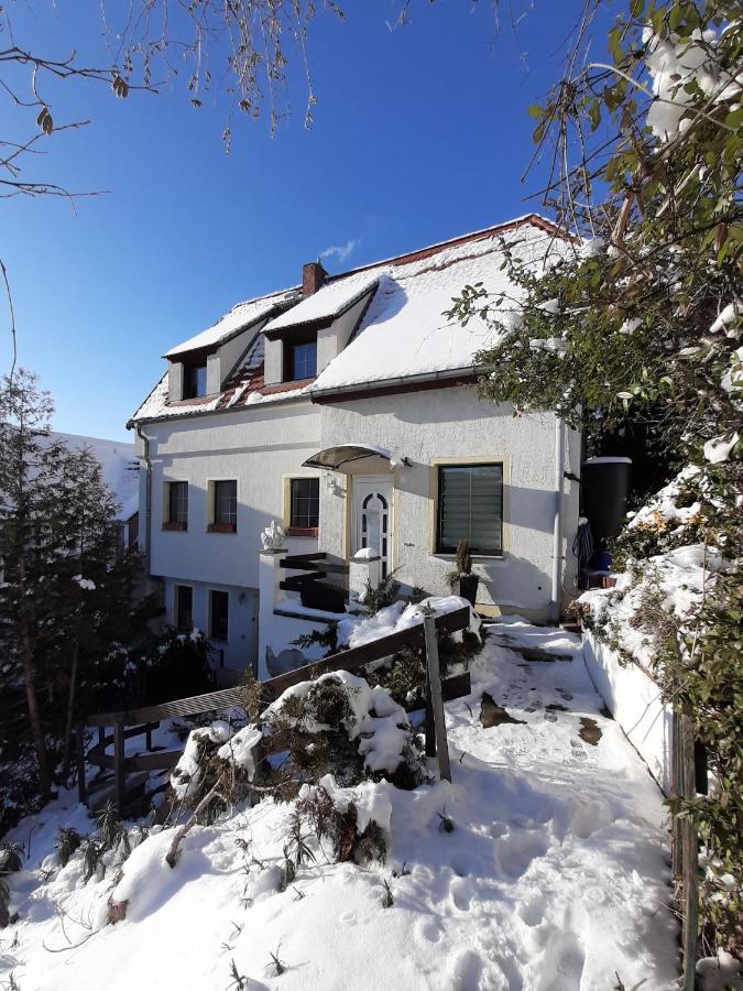 Ferienhaus Elbsommer Am Weinberg II Meißen Dış mekan fotoğraf
